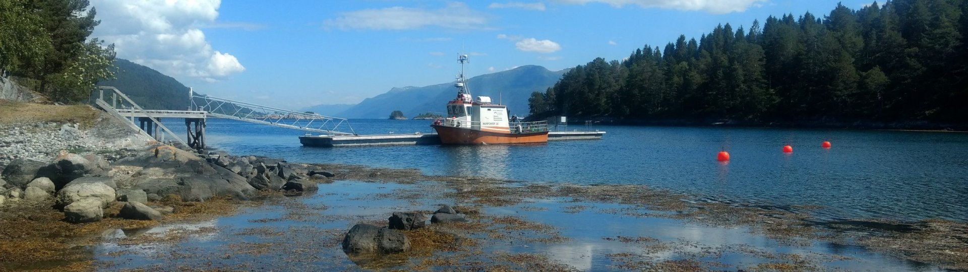 Bøyer Veøya  Foto Tor Arne Sørensen